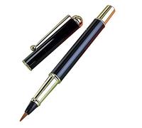 Pennello per calligrafia con pistone Clip per penna in metallo Adatto per script regolari/corsivi Principianti Bambini Regali per calligrafia Forniture Set inchiostri per penne stilografiche con e
