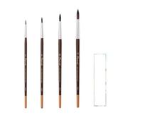 Pennello per Raphael Acquarello Piccolo Grigio Sintetico. Serie 8351. Set di 4 pezzi n°2, 6,10,14 e 1 carta