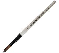 Pennello Tondo Lavaggio Daler Rowney Graduate Pony E Sintetico Dimensione 18