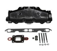 Pennino Mercruiser 5.0L 5.7L V8 GM Scarico Collettore Barr W/Asciutto Sferico