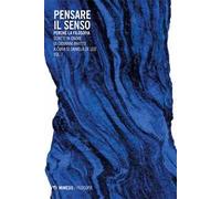 Pensare il senso. Perché la filosofia. Scritti in onore di Giovanni Invitto