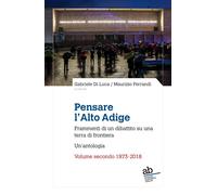 Pensare l'Alto Adige. Frammenti del dibattito italiano su una ter