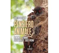 Pensiero animale. Uomini e scimmie