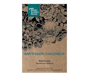 Penstemon barbatus 'Coccineus' (Penstemon barbatus) circa 100 semi di questa pianta da fiore perenne, fiore reciso, pianta da vaso per il giardino naturale o il giardino roccioso