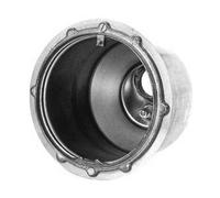 Pentair Pacfab 78243300 Piccolo Acciaio Inox Niche per Cemento Piscine O Spas