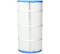 Pentair R173572 Cartuccia Filtro di Ricambio 60 mq per Pulito e Chiaro Plus 240
