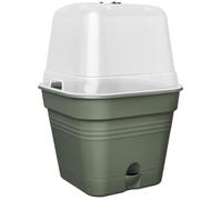 Pentola di fiori quadrati di base verde - plastica - serbatoio - Ø20 - verde foglia