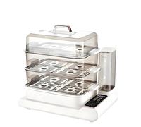 Pentola elettrica for cottura a vapore 110V/220V, grande capacità, multifunzionale, con timer di ritardo, a, stufato(220V,CN)