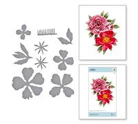 Peonie doppie e singole