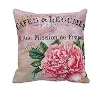 Peony Vintage Print Custom Zippered Pillow Cushion Case Throw Pillow Covers 20"x20" Twin Sides