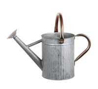 Peosaard Annaffiatoio, Annaffiatoio in Acciaio Inossidabile, Metallo da 1, 3 Galloni/5 L con Beccuccio Rimovibile e 2 Maniglie per Piante da Esterno e da Interno, Argento, Esterno