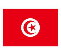 Peosaard Banner Tunisia per Eventi Sportivi, Bandiera Tunisia Decorativa Bandiera tunisina Bandiera Nazionale in Poliestere per Eventi Sportivi 150x90 cm