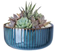Peosaard Pentole succulente, pentole succulente a Strisce vetrate 6x3 vasi succulente Rotondi succulenti fioriera Decorativa Moderna e Minimalista, pentola Bonsai