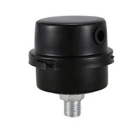Peowuieu Filtro di aspirazione per compressore d'aria 1/4 13 mm, filettatura nera