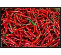 Pepe di Caienna lungo Red Chili Heirloom non-OGM Seeds (Packaged 25+ dolce a mano Heirloom) Seeds ONLY