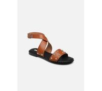 Pepe jeans - HAYES STAR W Marrone - Sandali e scarpe aperte 38 Marrone