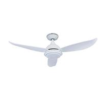 Pepeo GmbH Ventilatore da Soffitto Raja con Led Luce e Telecomando, Bianco, 122 cm, plastica