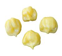 Peperoncino 7 Pot bianco 10 semi