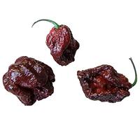 Peperoncino 7 Pot Brown 10 semi