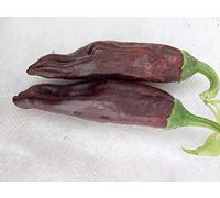 PEPERONCINO ECUADORIAN BROWN
