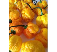 PEPERONCINO TRINIDAD SCORPION MORUGA YELLOW