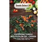 peperone tondo multicolor sel chiara
