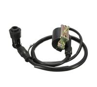 Per 110cc 125cc 140cc Pit 5 Pz/set Bikeset Dirt Bike ATV Cablaggio Kill Switch Bobina CDI Plug Kit 2Pin sistema accensione universale moto scooter