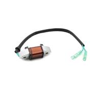 Per 25Q Per EOS L 40 Per MS L Per ULH 40 Per PS Per LR 50D Per EMTOS L P50 S 6H5-85533-01 Magneto Statore Bobine Di Accensione Statore Magnete Bobina