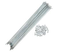 Per 36 Set Raggi Bici 14G 247mm Acciaio Carbonio Galvanizzato