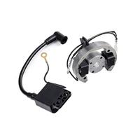 Per 50 SX Elettrico E Accensione Statore Rotore Interno Magneto Gy6 Per Mini Moto 50cc Accessori Bobina Di Pit Bike Magneto Statore Bobina