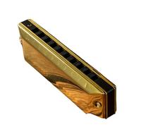 Per Adulti Armonica Armonica Blues Blues A Dieci Fori Strumento Per Principianti Adulti