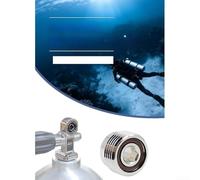 Per ARA DIN a Per YOKE Adattatore Per G5 8 per Valvola Serbatoio Compatibilità Guarnizioni Fluorocarbon Corpo In Ottone Cromato per Uso In Acqua Salata