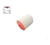 Automega Filtro aria 180028010 Cartuccia per Audi A7 Sportback e A6 C7