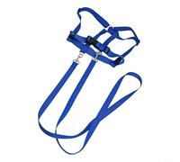Per bambini Outdoor Horse Game Sviluppa comportamento sociale e forma fisica
