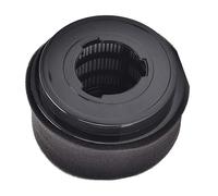 Per Bissell Filtro Doppio Compatibile per Stili 9 10 12 Include Due Unit