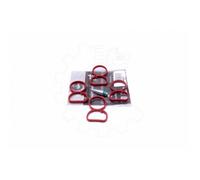 Per BMW E87 E88 3 E90 E91 11618507239 Kit di Riparazione Colletore D'Ingresso