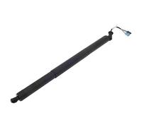 Per Bmw F48 F49 51247481807 51247481803 Sollevatore Portellone Posteriore Sinistro E Destro Barra Supporto Elettrica Portellone Posteriore Molle Gas Portellone Posteriore(R)