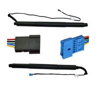 Elettrico Portellone (Posteriore Dx) Molla a Gas Mandrino Drive Per BMW X4 F26 [