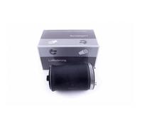 Per BMW X5 E53 37121095580 37126750356 Cuscino Pneumatico Posteriore Destro