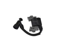 Per bobina di accensione per Einhell per tosaerba BG-PM 46/3 S/BG-PM 40 parti per il giardino