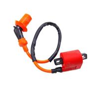 Per Bobina Motore Per 50cc Per 125cc Per 150cc Per 200cc Per 250cc Cinese ATV Quad Pit Bike Scooter Buggy Moto Bobina Di Accensione