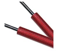 Per BYD Per Dolphin Per EA1 Per EM2E 2021-2025 Ammortizzatori A Gas Supporto Di Sollevamento Cofano Anteriore Ammortizzatore Asta Pistoni Alza Cofano(Red Carbon Fiber)