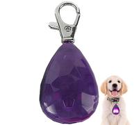 per cani per passeggiate notturne Alta visibilità, ricaricabile USB