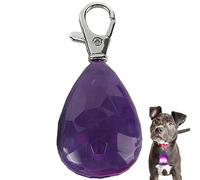 per cani per passeggiate notturne Alta visibilità, ricaricabile USB