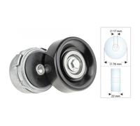 Per Chrysler Voyager/Grand Voyager III 3.3i Tendicinghia di Accessorio