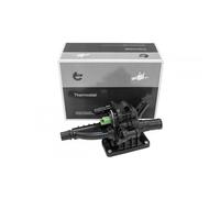 Per Citroën Berlingo C3 C4 C5 DS3 DS4 DS5 Jumpy 1336AX Zoppicare Termostato Di