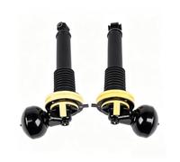 Per Citroen Per C5 Per MK3 Per C6 2006- Ammortizzatore Sospensione | Coppia Puntone Ammortizzatore Anteriore O Posteriore Con Accumulatore Pressione 19605271L5 19605271L6(Front Left and Right)