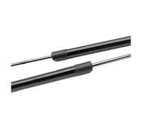Per Civic Per Type Per R Per FN2 Per FD2 2005-2011 Montanti Del Cofano Ammortizzatori Anteriore Supporti Di Sollevamento Delle Molle Pistoni Alza Cofano(Pure black)