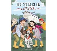 Per colpa di un setter