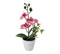 per decorazione Orchidea Artificiale Phalaenopsis con Ciottoli per Espositore da